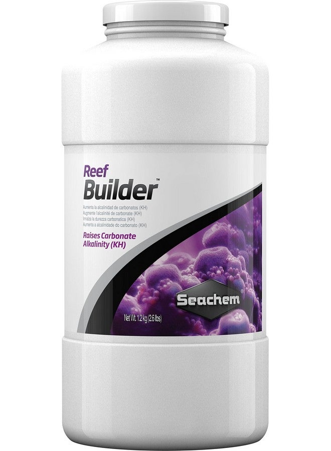 سي تشيم باني الشعاب المرجانية، 1.2 كجم / 2.6 رطل - Image 1