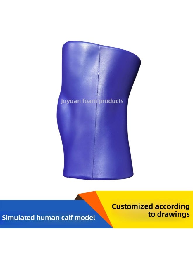 Pu Simulated Human Leg Model Polyurethane Solid Foam Infusion Molding Simulated Character Limb Joint Model Customization-Color:Blue-Size:205*140*115mm