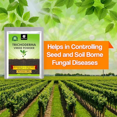 OrganicDews بودرة تريكوديرما فيريد العضوية 400 جرام (2 x 10^8 وحدة تكوين مستعمرة لكل جرام) للنباتات 400 جرام - Image 2