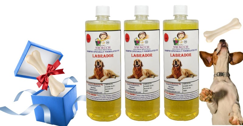 swacch Shampoo | Puppy Safe Shampoo | Labrador Dog Shampoo (1 Litre) (Pack of 3) Lemon + Large White Bone | Dog Chew Bones | Teething chew Toy | Dental Teething | Combo Pack - Image 1