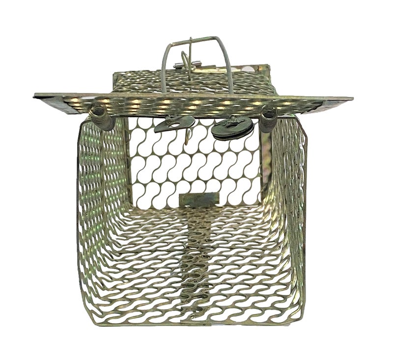 Moira Big Iron Rat Trap (Bronze, 26 X 11.5 X 10 cm) - Image 4