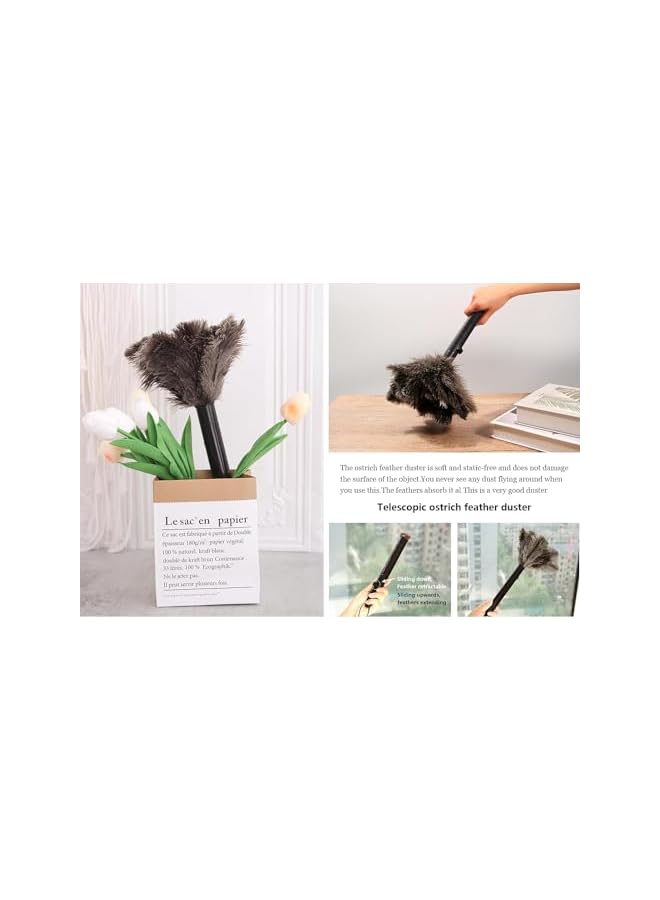 promass Retractable Feather Duster for Cleaning, Soft Natural Ostrich Feathers with Extendable Handle, Eco-Friendly Reusable Cleaning Tool for Home, Car, and Keyboard Dusting - Image 4