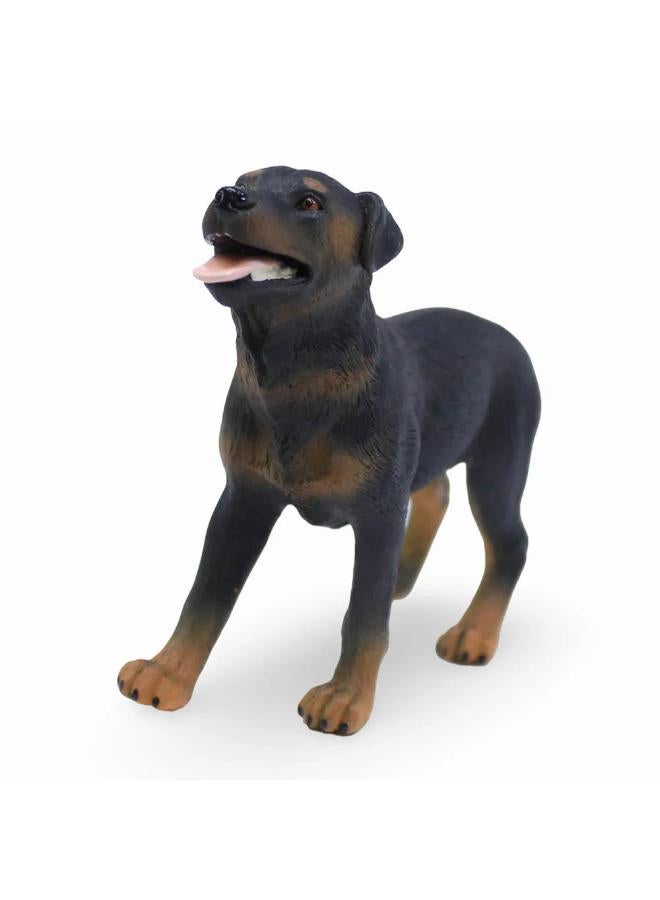 CollectA Rottweiler Figurine - Image 1