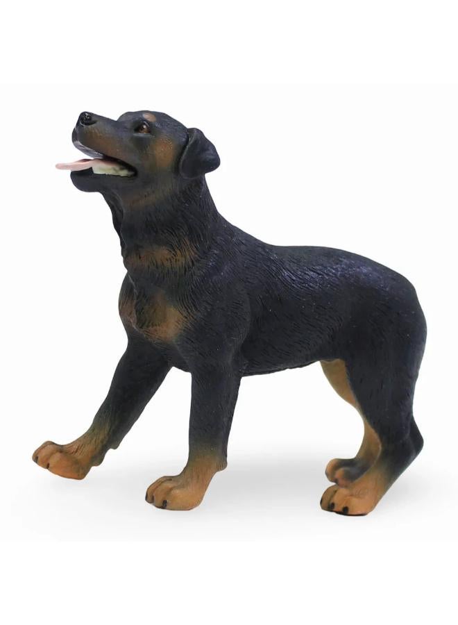 CollectA Rottweiler Figurine - Image 3