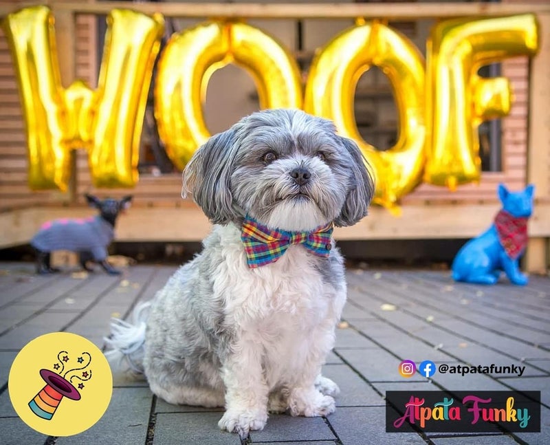 Atpata Funky Dog Birthday Celebration LETS PAWTY/WOOF/FUREVER YOUNG 16 INCH Text Foil Balloons Set (WOOF Gold), Large (Foil-WoofGD) - Image 2