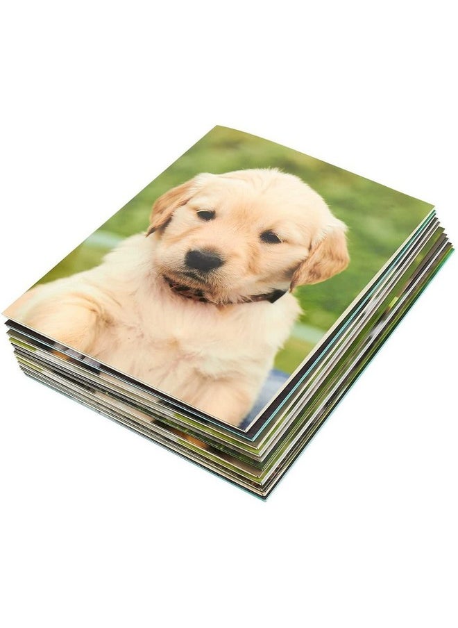 Blue Panda 12 Pack Of 2 Pocket File Folders Decorative Dog Puppy Designs For Kids School Office Letter Size (12X9.5 In)  - Image 2