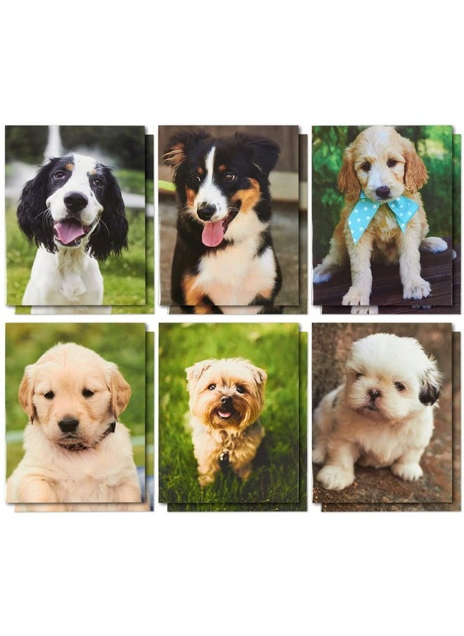 Blue Panda 12 Pack Of 2 Pocket File Folders Decorative Dog Puppy Designs For Kids School Office Letter Size (12X9.5 In)  - Image 1