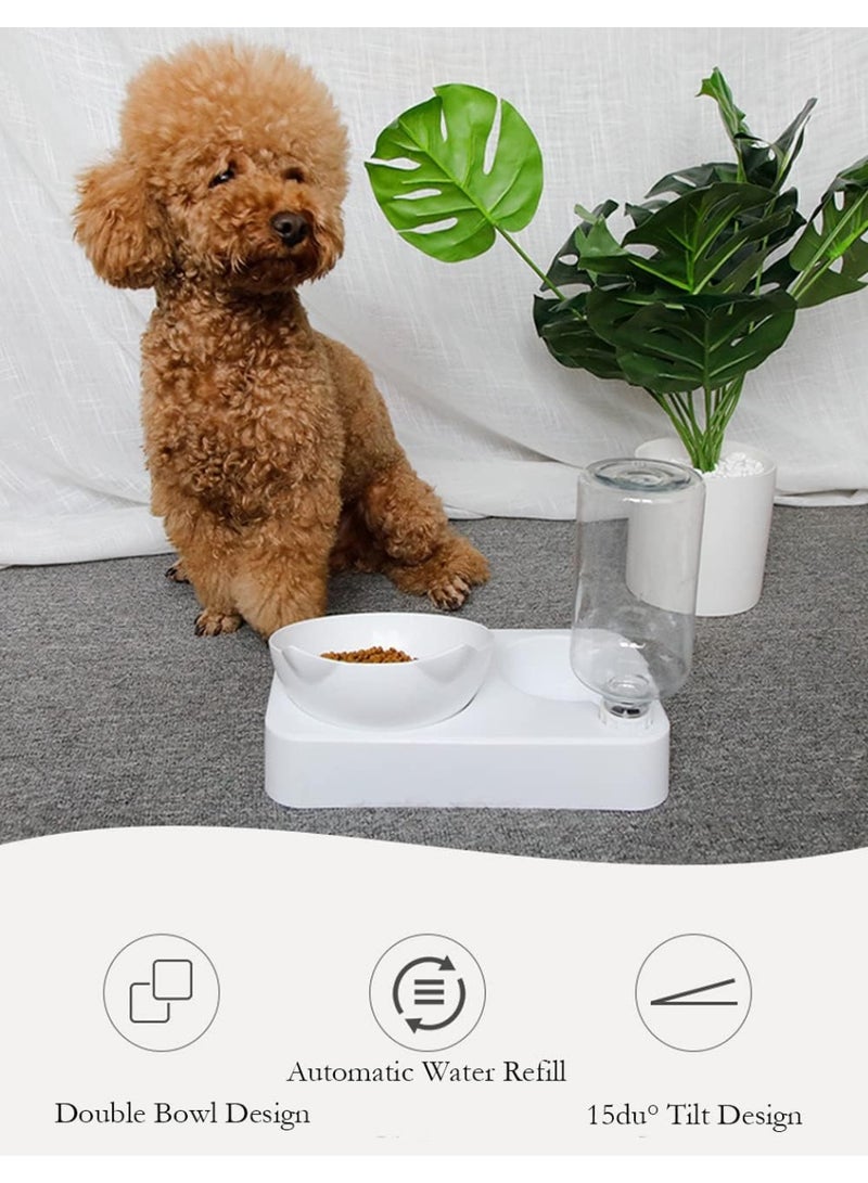 DUNISO Cat Bowl, 15° Tilted Cat Food Bowl for Indoor Cats, Cat Food and Water Bowl Set,Durable, Anti Slip, Easy to Clean,for Cats and Small Dogs,White - Image 5