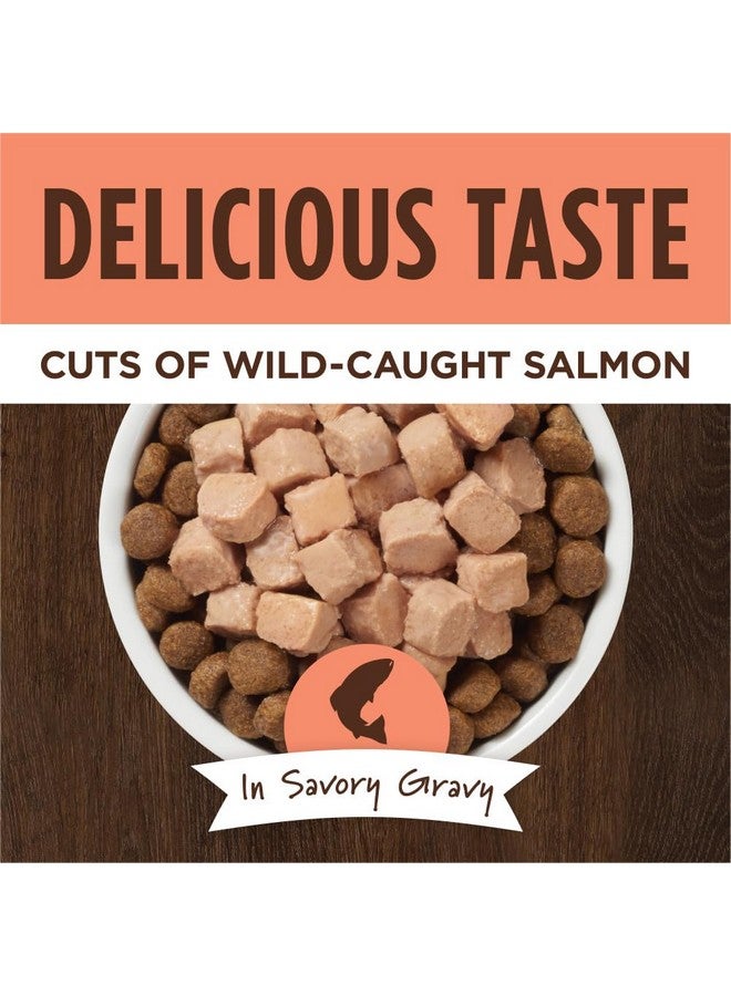 غريزة طعام الكلاب الرطب الطبيعي من Nature's Variety Instinct Healthy Cravings Grain Free Real Salmon Recipe، 3 أونصة (عبوة من 24 قطعة) - Image 2