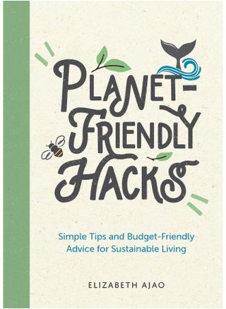 Planet-Friendly Hacks: Simple Tips and Budget-Friendly Advice for Sustainable Living - pzsku/Z92D748ED65D0E310DC02Z/45/_/1727204746/c43add18-5192-4a61-8f96-372cec8bfb5e