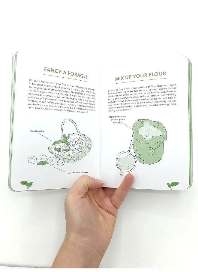 Planet-Friendly Hacks: Simple Tips and Budget-Friendly Advice for Sustainable Living