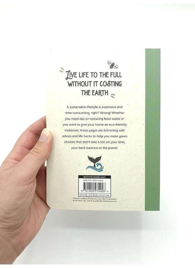 Planet-Friendly Hacks: Simple Tips and Budget-Friendly Advice for Sustainable Living