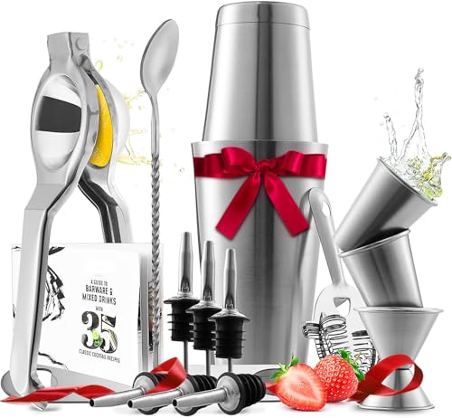 EATEX Bar Set Cocktail Shaker Set, Stainless Steel Mixology Bartender Kit, 16 Piece Cocktail Kit, Silver Cocktail Set, Bar Tools: 30oz Martini Shaker, Muddler, Bar Kit Cocktail Book, Jigger and Pourers - Image 1