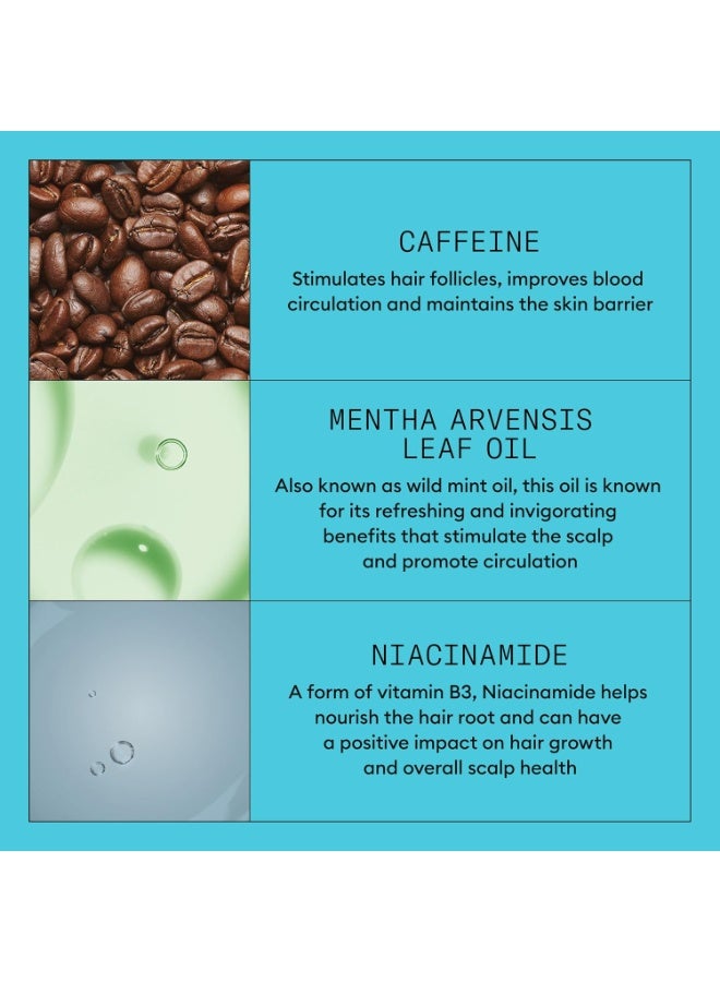 Nioxin System 3, For Thicker, Fuller Hair, Hair thickening treatment For Colored, Damaged Hair with Light Thinning, Loyalty Kit large size, Hydrating Shampoo, Scalp Conditioner, Hair-thickening serum - Image 3