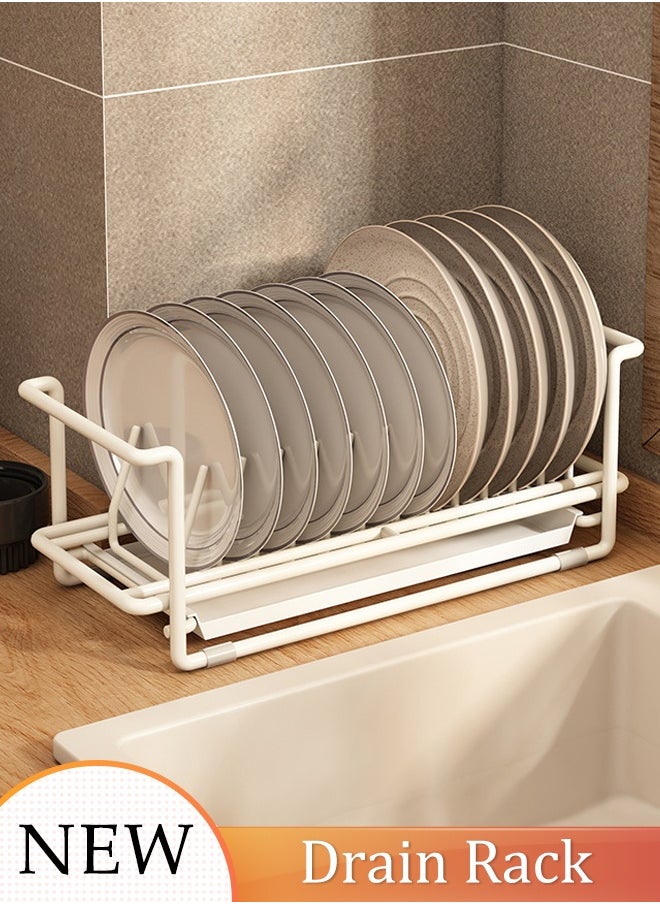 DUNISO Dish Drying Rack Space-Saving Rust Proof Stainless Steel Organization Shelf Kitchen Drainer Utensil Holder Compact Draining Board Rack For Kitchen Counter  - Image 1