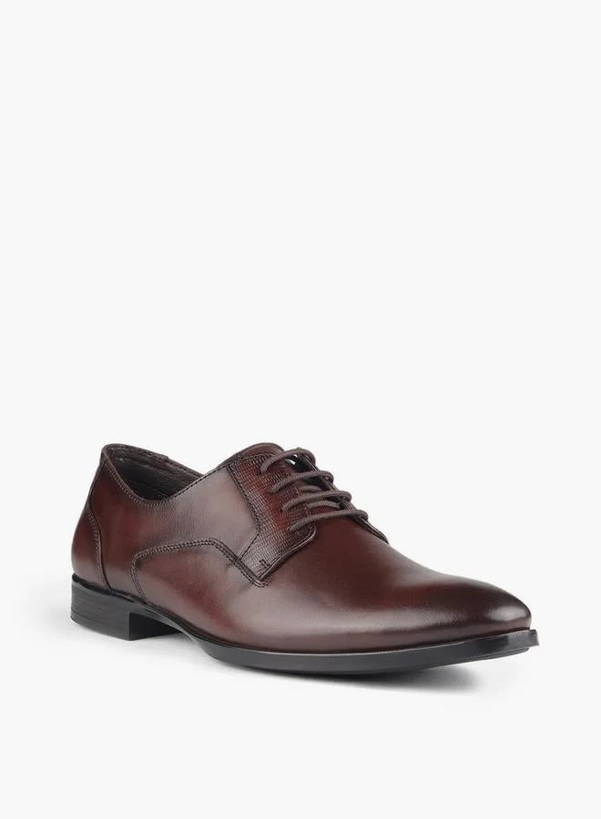 LBL by Shoexpress Men Lace-Up Leather Derby Shoes