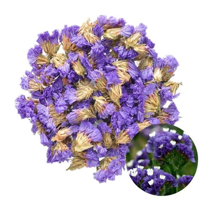 FLOWER PETALS AND BUDS FORGETMENOT BULK FLOWER TO MAKE SACHETS POTPOURRIS FLOWERS DIY CANDLE MAKING WEDDING DECORATION GOOD FOR ALL KINDS OF FLOWERS CRAFTS 2 OZ