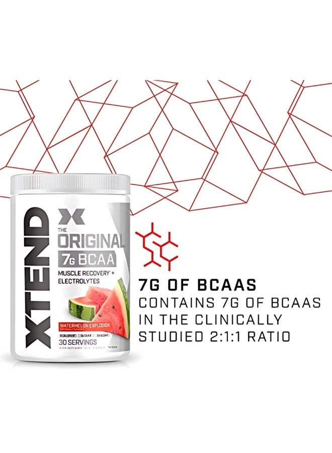 اسكتيند أوريجينال 7 جم BCAA لاستشفاء العضلات + إلكتروليتات، بنكهة البطيخ إكسبلوشن – 30 حصة - Image 4