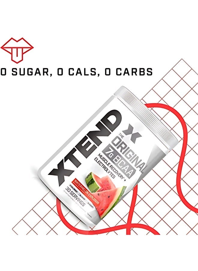 اسكتيند أوريجينال 7 جم BCAA لاستشفاء العضلات + إلكتروليتات، بنكهة البطيخ إكسبلوشن – 30 حصة - Image 3