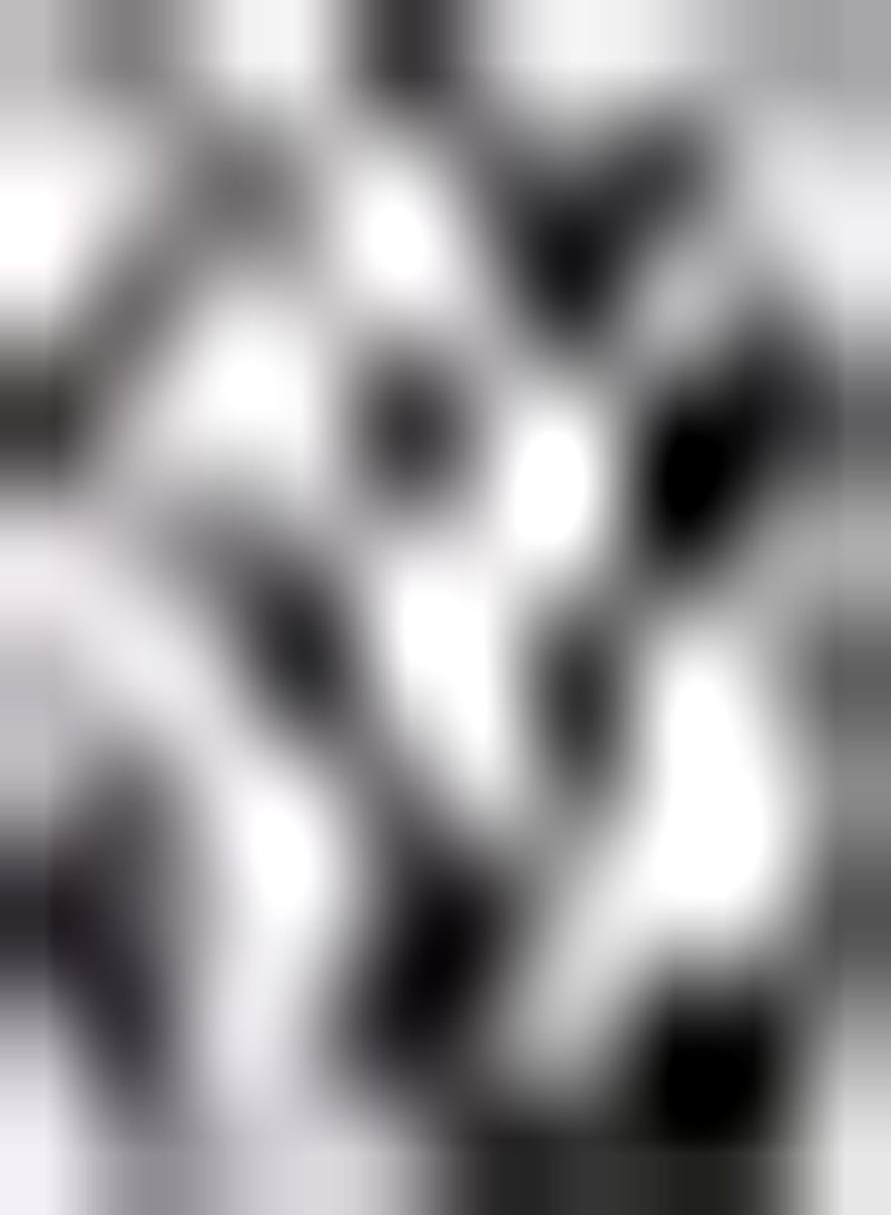 GGOOT 200pcs Witte  Zaden Decoratieve Tuin ERF Gemakkelijk Groeien Buiten Rand Zeldzame Variëteiten Hielden Weinig Onderhoud - Image 1