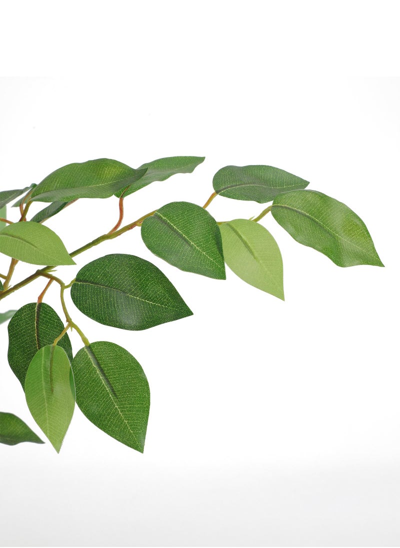 Zvezvia Tall Dual-Stem Ficus Artificial Tree, 180CM (6ft) Realistic Potted Fake Ficus, Indoor/Outdoor Decor for Home, Office, Mosque, Living Room  - Image 3