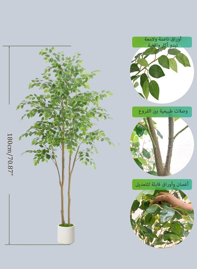 Zvezvia Tall Dual-Stem Ficus Artificial Tree, 180CM (6ft) Realistic Potted Fake Ficus, Indoor/Outdoor Decor for Home, Office, Mosque, Living Room - Image 5