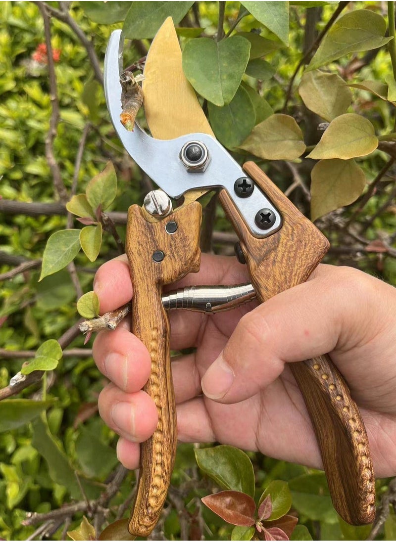 Generic - Garden Shears, Premium Bypass Pruning Shears for your Garden, for Cutting, Trimming, Harvesting, Japanese Stainless Steel Blade, Cutting Through Anything in Your Yard - Image 1