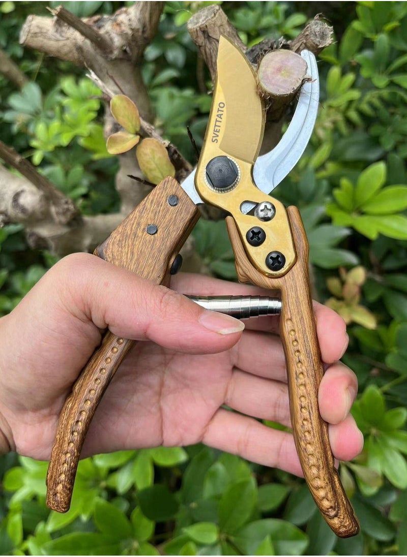 Generic - Garden Shears, Premium Bypass Pruning Shears for your Garden, for Cutting, Trimming, Harvesting, Japanese Stainless Steel Blade, Cutting Through Anything in Your Yard - Image 1