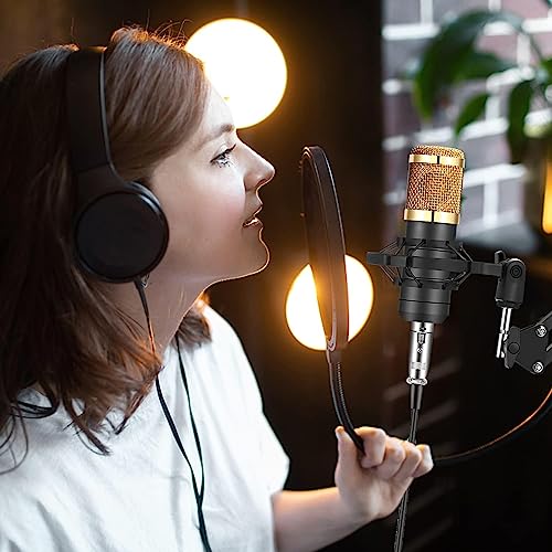TECHBLAZE BM800 Professional Studio Condenser Microphone Set for Singing & Recording | Shock Mount, U-Shape Splitter, 3.5mm XLR Cable | Podcast, YouTube, Gaming, Voice-Over & Home Studio Mic – Black - Image 2