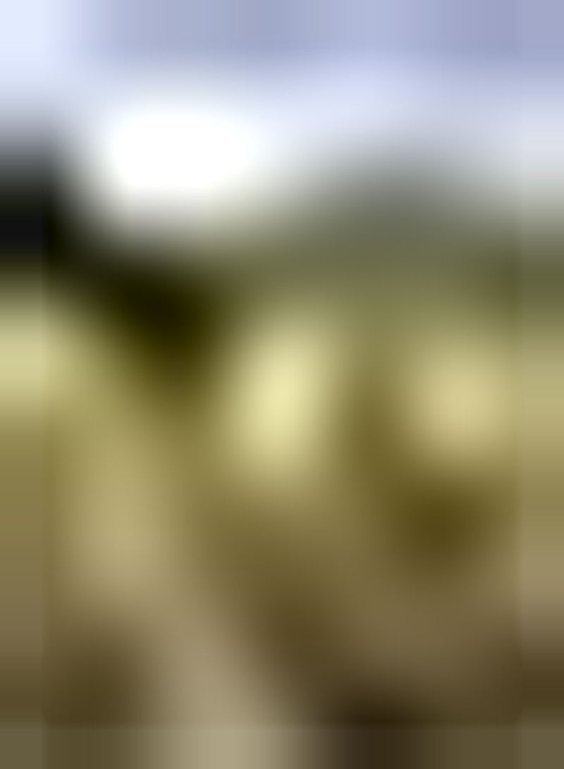 GGOOT Marsh Mallow Althaea officinalis, Approx, 25 Seeds Wild Flower Seed - Image 2