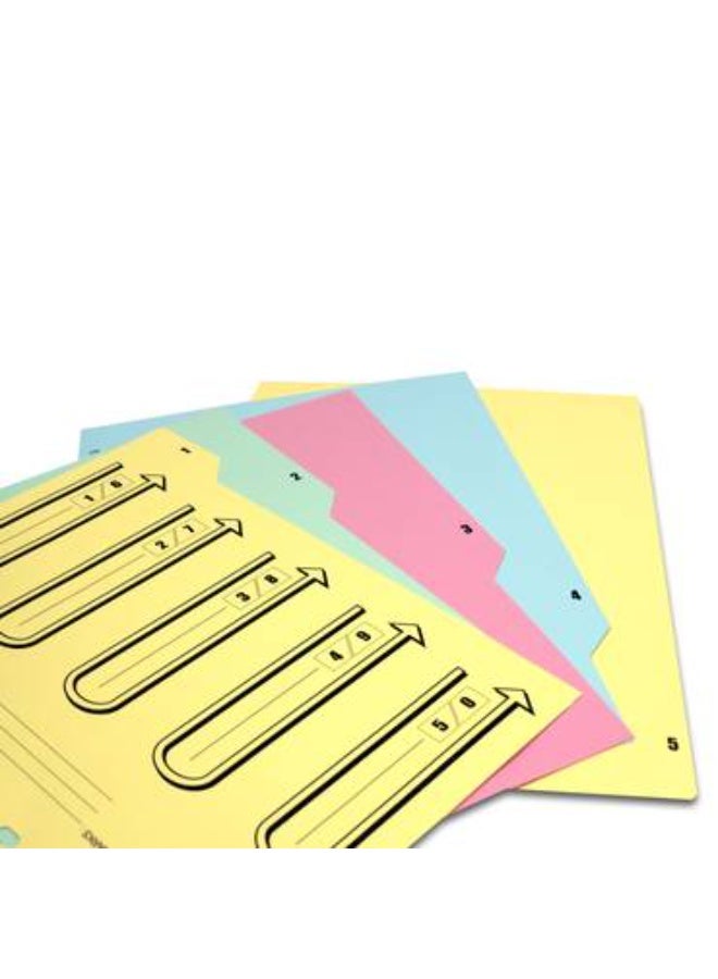 SAB  Separators Bristol - A4 Size - 5 Colored - Image 3