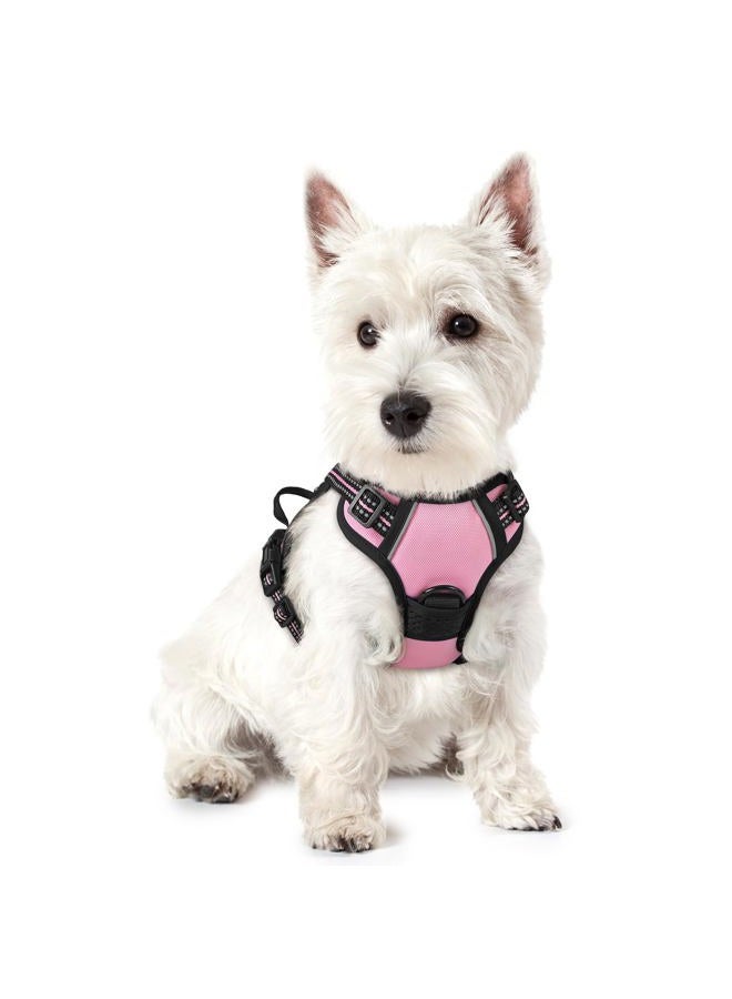 Rabbitgoo Dog Harness No Pull with 2 Leash Clips, Adjustable Soft Padded, Reflective Oxford No Choke Pet Vest with Easy Control Handle for Puppy, Pink, XS - Image 1