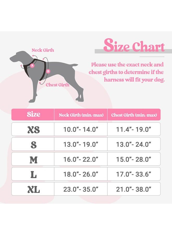 Rabbitgoo Dog Harness No Pull with 2 Leash Clips, Adjustable Soft Padded, Reflective Oxford No Choke Pet Vest with Easy Control Handle for Puppy, Pink, XS - Image 2