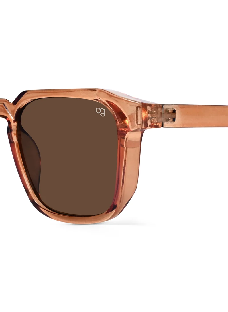 Woggles Americano Brown Square Sunglasses