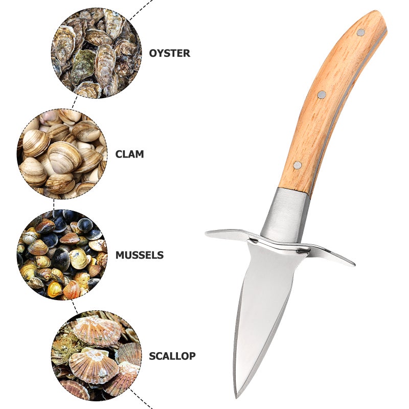 Stainless Steel Shucking Shellfish Scallop Shucker Tool with Carrying Case - Image 4