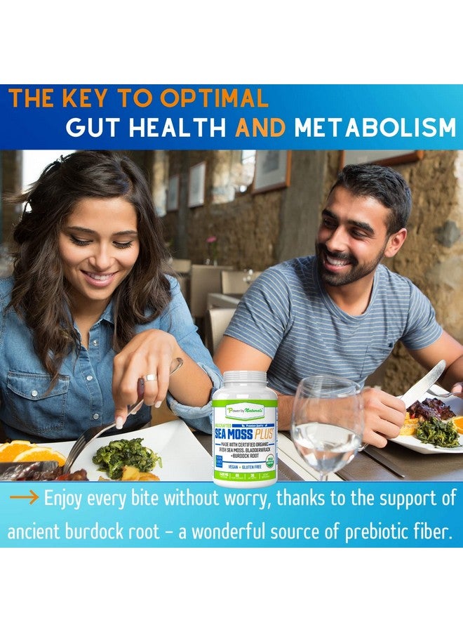 Certified Organic Sea Moss Plus (2Pk) Wildcrafted Irish Sea Moss And Bladderwrack Burdock Root Capsules Vegan Seamoss Pills For Cell Health No Filler Pure Sea Moss Capsules