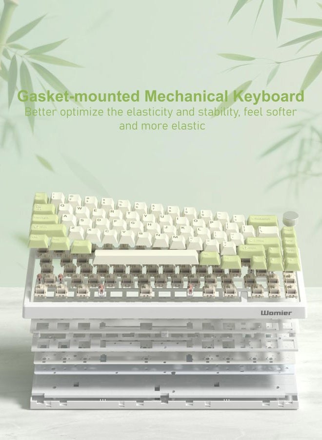 Womier 60% Gaming Mechanical Keyboard Green QMK/VIA Creamy Keyboard Wired, Hot Swappable Gasket Mount RGB Key Board & PBT Keycaps(VK66 PRO) - Image 5