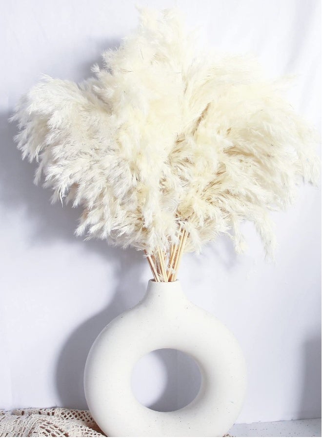 أعشاب البامبا البيض الأنيقة لتزيين المنزل - 20 غصن عالي الجودة - مثالي للتصميم البوهيمي، رياض الأطفال، الزفاف، الطاولة، والديكور الغربي - مثالي للديكورات العصرية. - Image 1