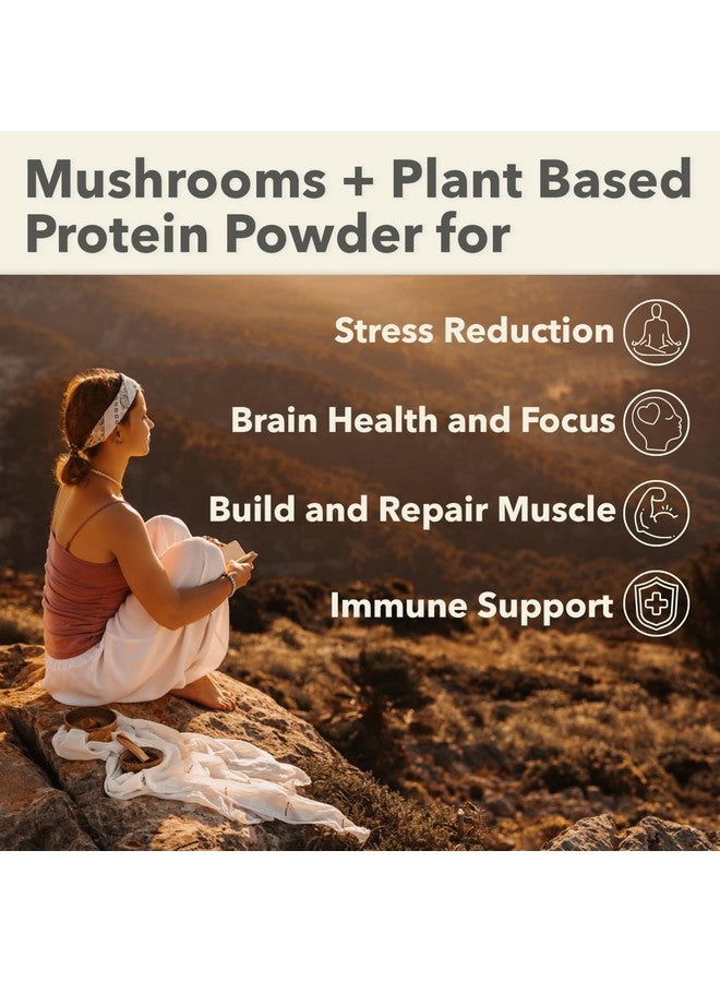 Plantfusion Mushroom Protein Powder - 3 in 1 Vegan Protein Powder, Mushroom Supplement, and Adaptogen Supplement - Support Mental Focus, Immunity, and Recovery - Vanilla 1lb - Image 4