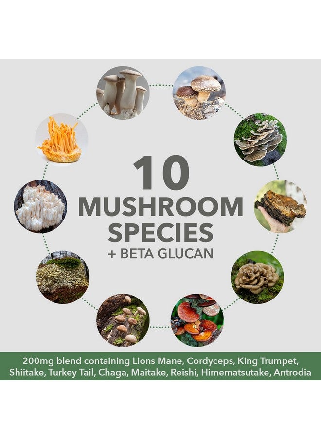 Plantfusion Mushroom Protein Powder - 3 in 1 Vegan Protein Powder, Mushroom Supplement, and Adaptogen Supplement - Support Mental Focus, Immunity, and Recovery - Vanilla 1lb - Image 5