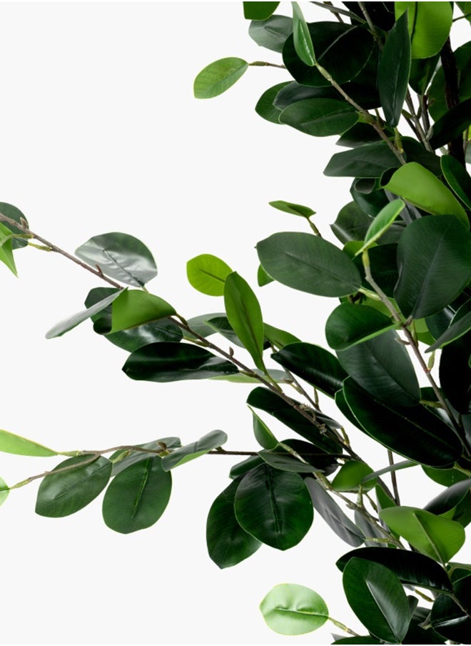2XL Home Ficus Tree  - Image 3