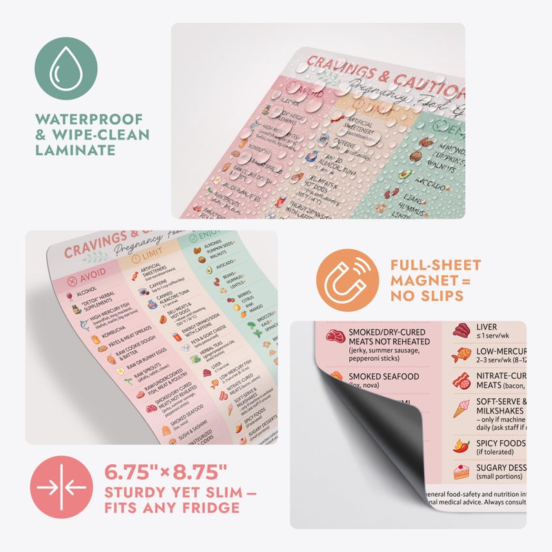 Beech & Lambert Pregnancy Food Guide Magnet â€“ Quick Reference Chart for a Healthy Pregnancy â€“ Foods to Avoid, Limit & Enjoy â€“ Ideal Fridge Magnet Gift for Expecting Moms - Image 5