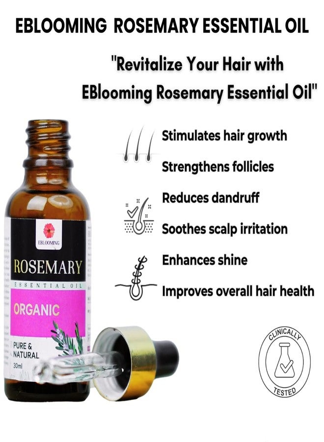 Eblooming Rosemary Essential Oil- 30ml, Clinically Tested, Promotes Hair Growth, Controls Hair Fall, Nourishment, Skin Care, Aromatherapy, Massage, Organic, Pure and Natural, Undiluted - Image 4