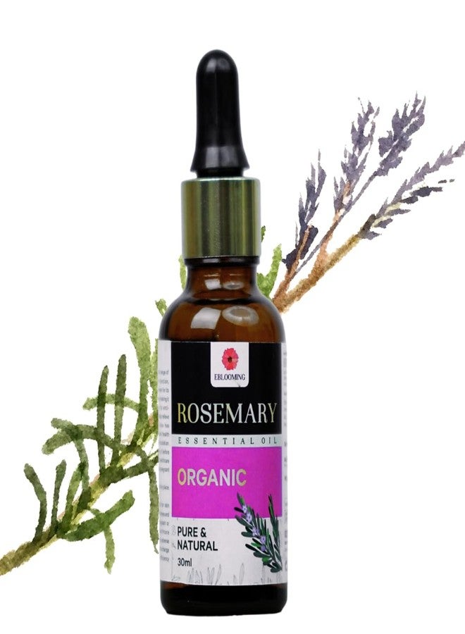Eblooming Rosemary Essential Oil- 30ml, Clinically Tested, Promotes Hair Growth, Controls Hair Fall, Nourishment, Skin Care, Aromatherapy, Massage, Organic, Pure and Natural, Undiluted - Image 1