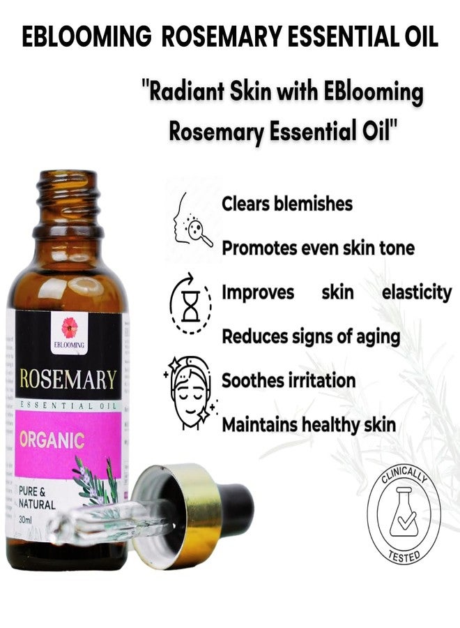 Eblooming Rosemary Essential Oil- 30ml, Clinically Tested, Promotes Hair Growth, Controls Hair Fall, Nourishment, Skin Care, Aromatherapy, Massage, Organic, Pure and Natural, Undiluted - Image 5