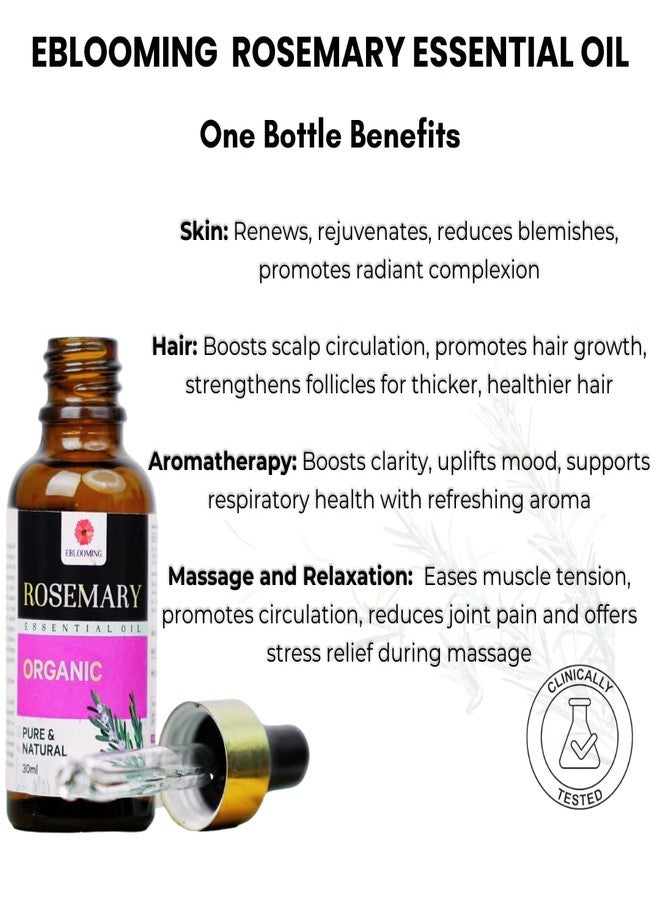 Eblooming Rosemary Essential Oil- 30ml, Clinically Tested, Promotes Hair Growth, Controls Hair Fall, Nourishment, Skin Care, Aromatherapy, Massage, Organic, Pure and Natural, Undiluted - Image 3
