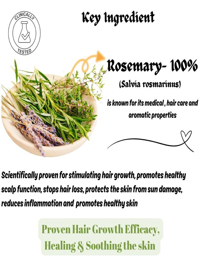 Eblooming Rosemary Essential Oil- 30ml, Clinically Tested, Promotes Hair Growth, Controls Hair Fall, Nourishment, Skin Care, Aromatherapy, Massage, Organic, Pure and Natural, Undiluted - Image 2