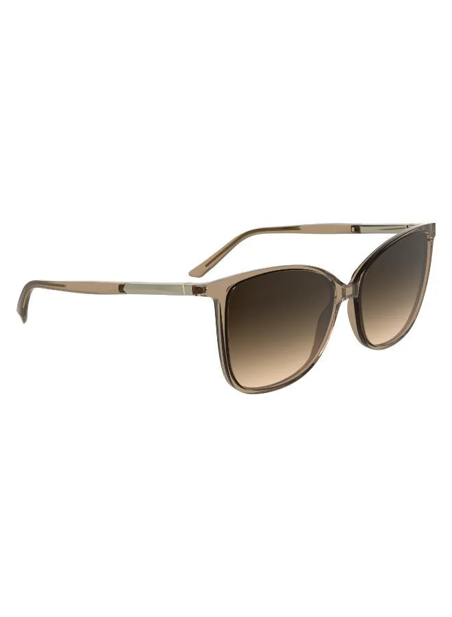 كالفن كلاين Butterfly Sunglasses