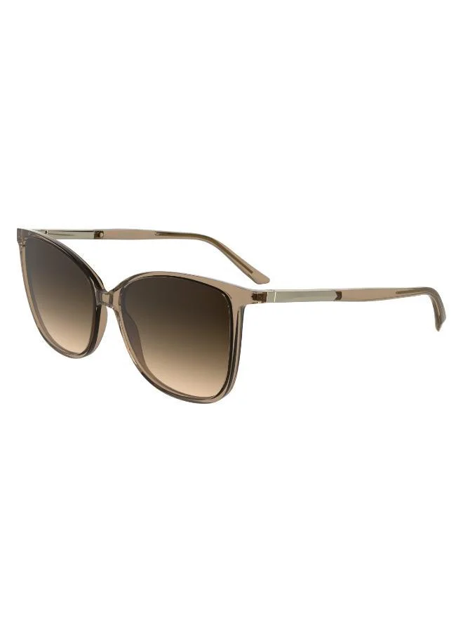 كالفن كلاين Butterfly Sunglasses
