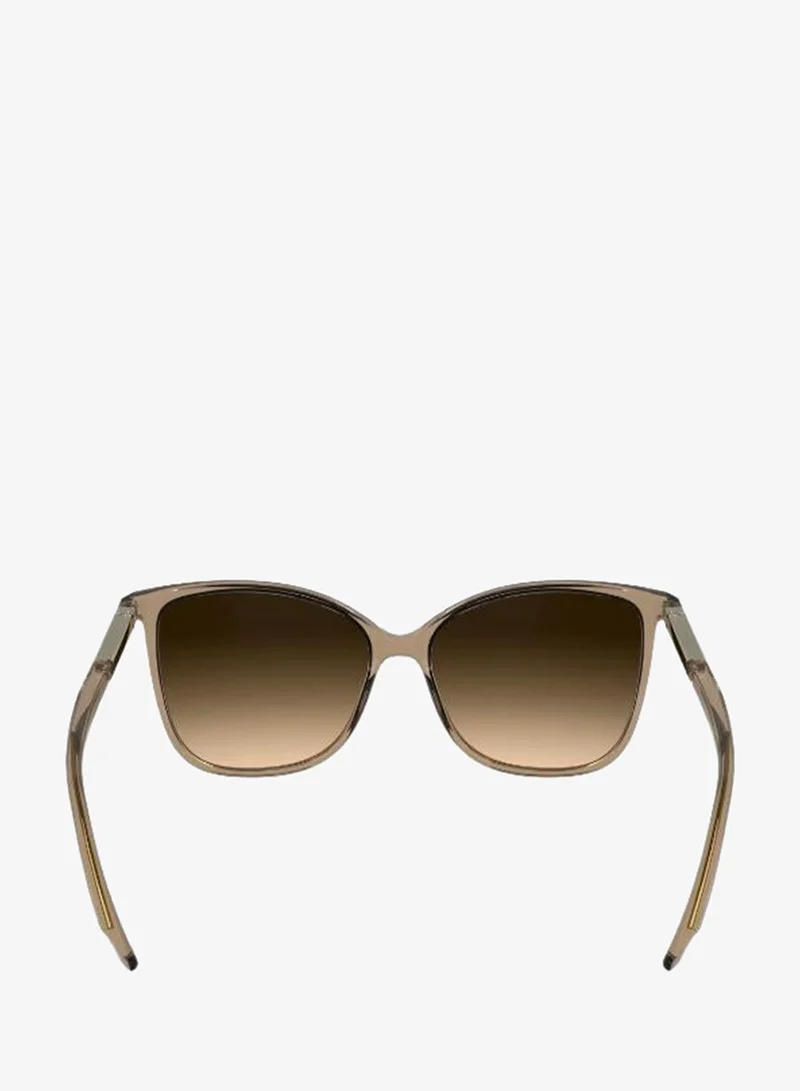 Calvin Klein Butterfly Sunglasses